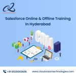 Salesforce Online & Offline Training in Hyderabad