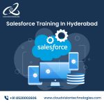Salesforce Training In Hyderabad